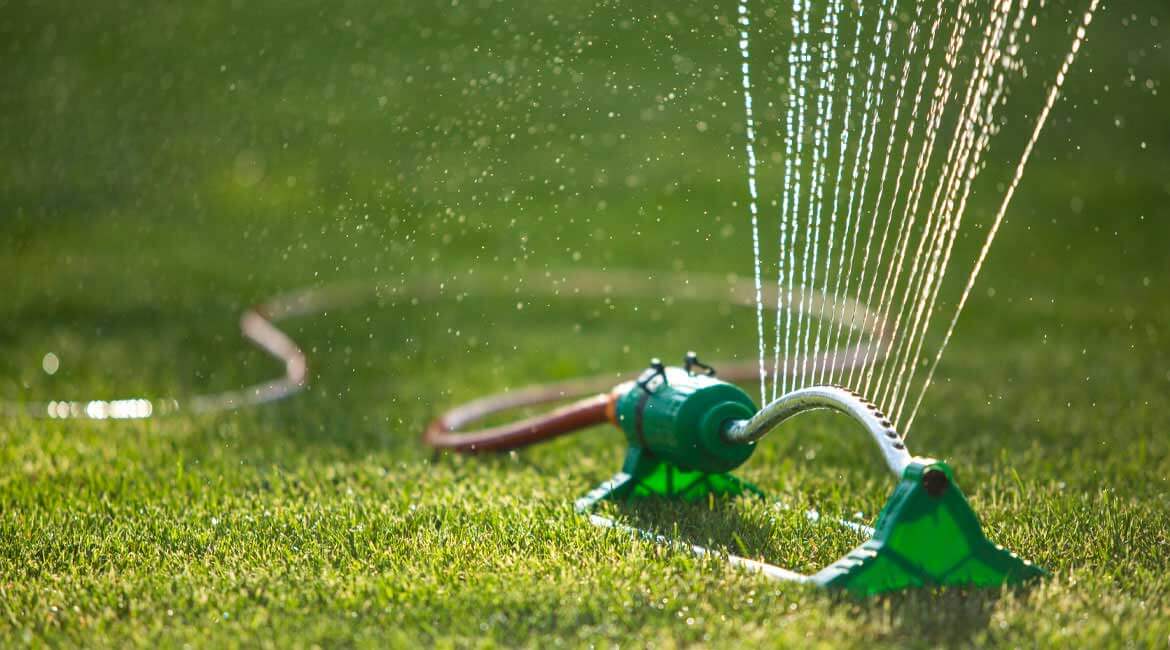 How much water does my lawn need to grow properly? Nutrite Experts