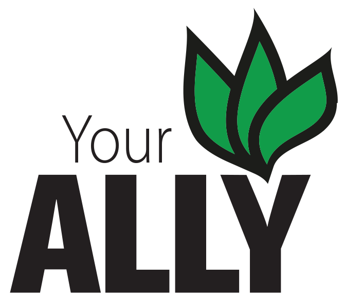 logo-your-ally