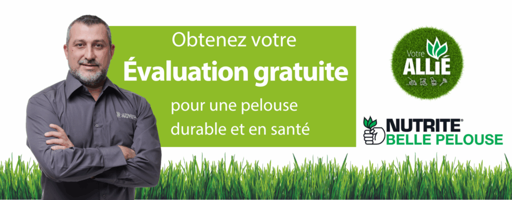 entete-belle-pelouse-fr