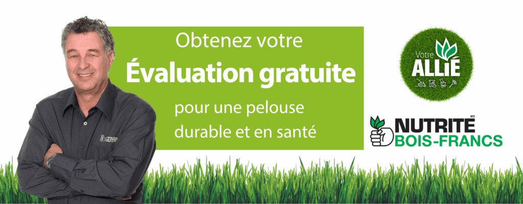 entete-bois-francs-fr-v2