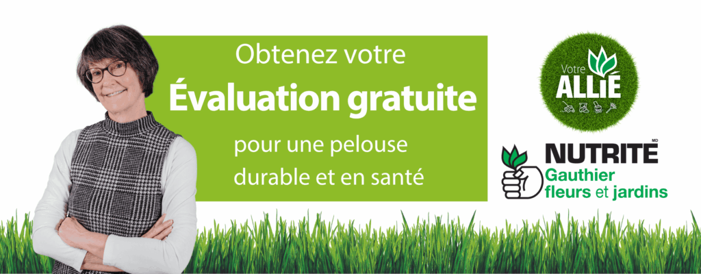 entete-gauthier-fr-v2