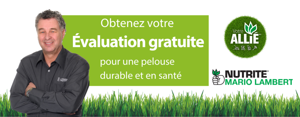 entete-mario-lambert-FR-2026