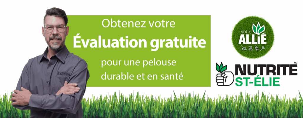 entete-st-elie-fr-v2