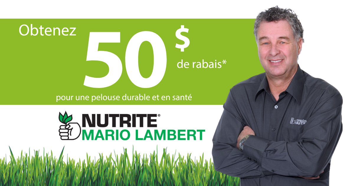 Promo-mario-lambert-50
