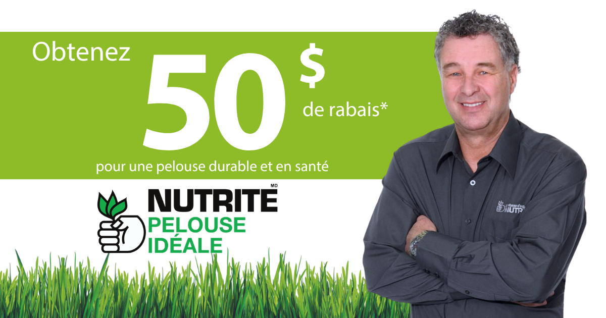 Promo-pelouse-ideale-50