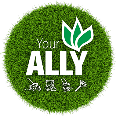 Badge ally seul