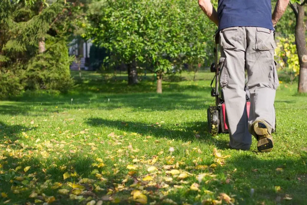 Quoi faire avec les feuilles mortes? Trois options environnementales