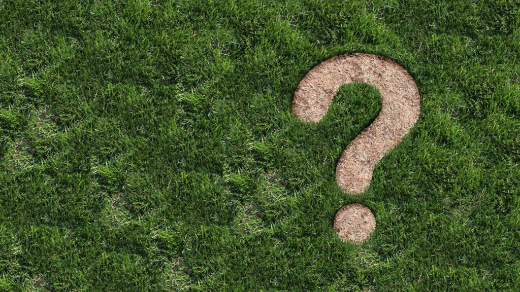 question-mark-grass