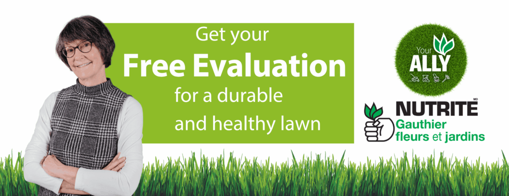 entete-gauthier-en-v2