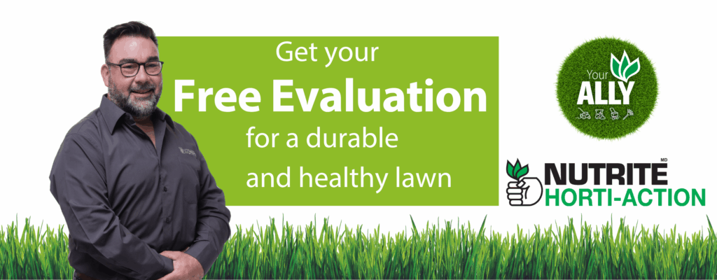 entete-horti-action-en-v2