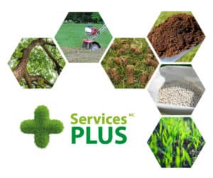 vignette-services-plus