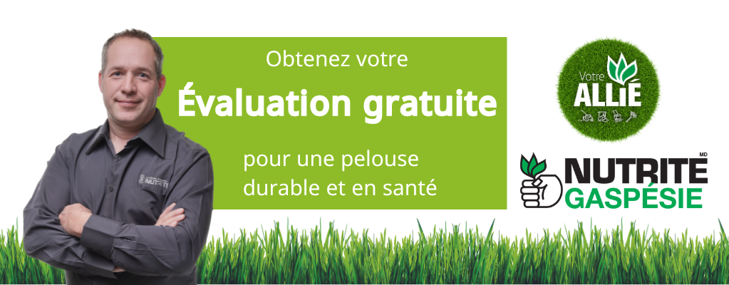 entete-gaspesie-FR