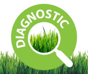 bouton diagnostic