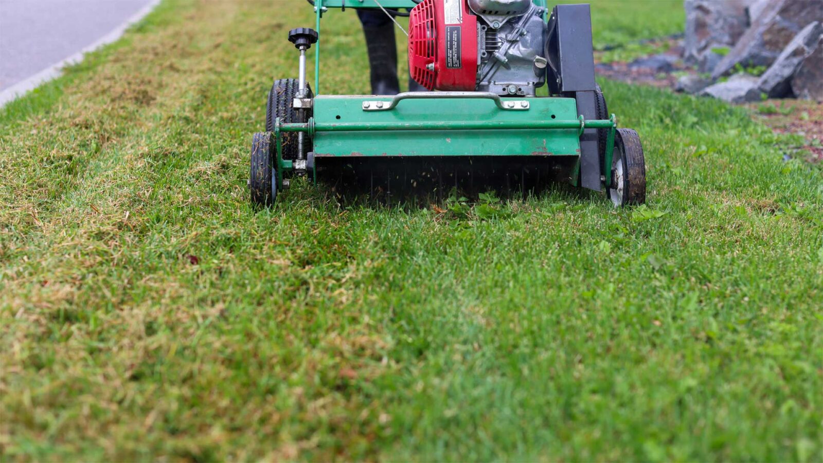 Lawn dethatching benefits | Nutrite Experts