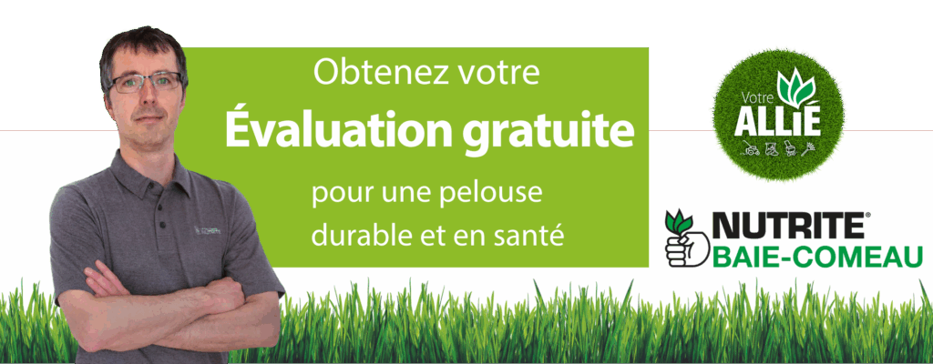 entete-baie-comeau-FR