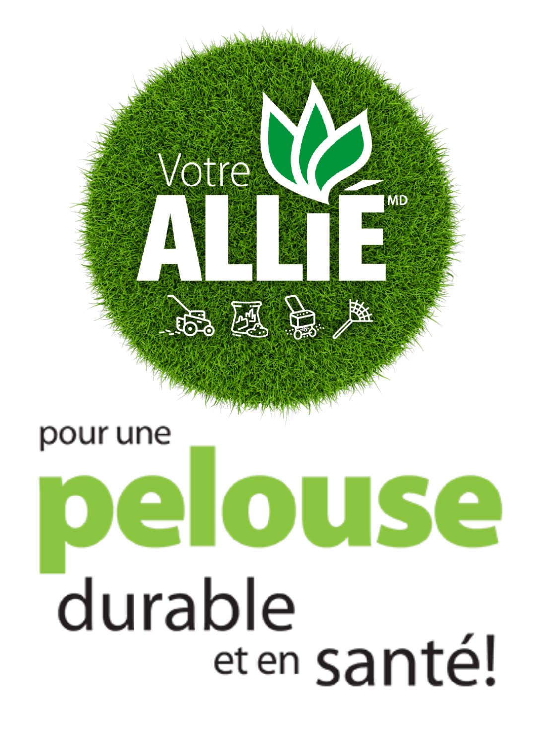 bandeau-allie-pelouse-durable-fr