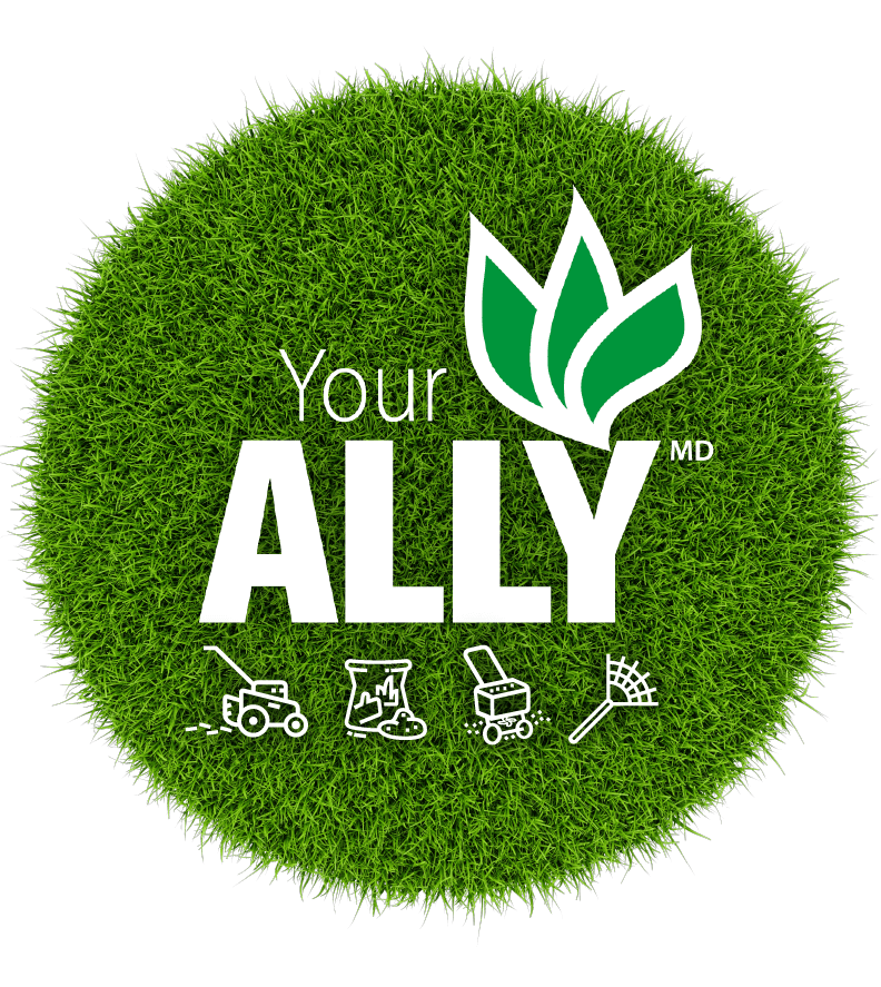 pastille-your-ally-2026