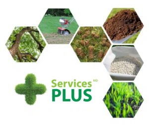 Nutrite Belle Pelouse photo 3