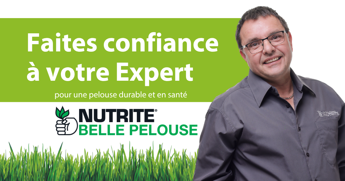 eval-belle-pelouse