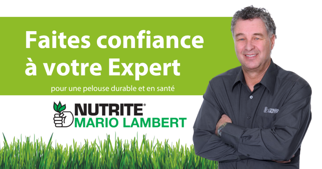 eval-mario-lambert
