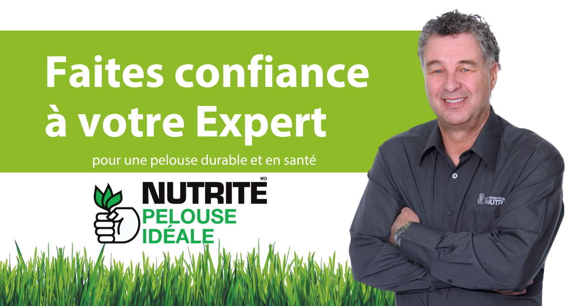 eval-pelouse-ideale