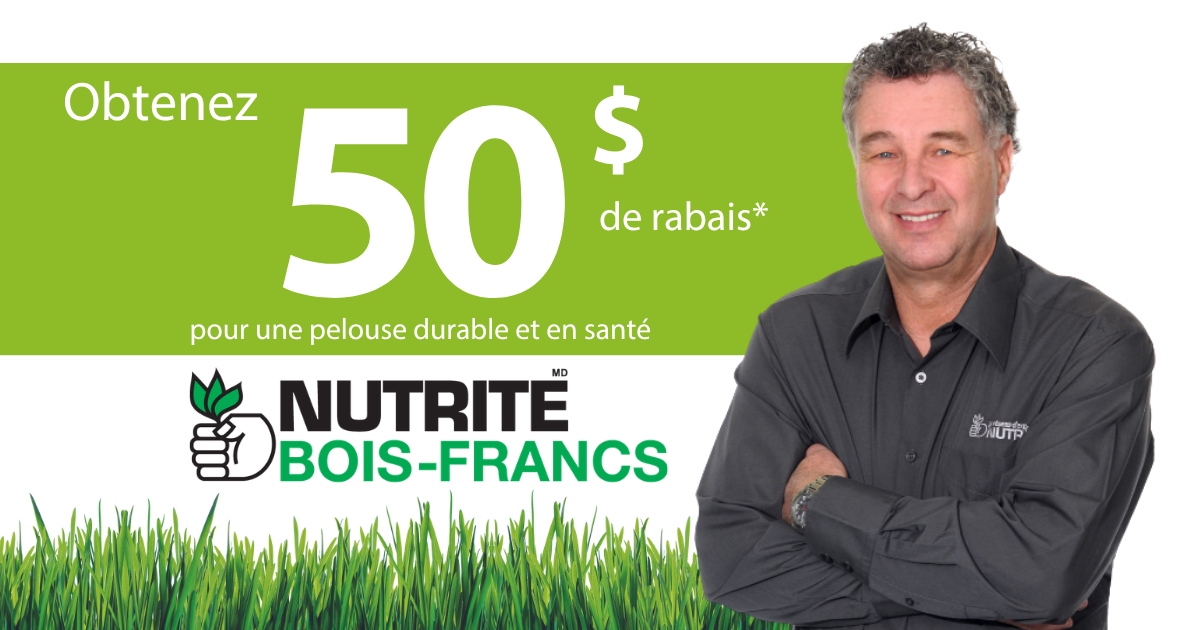 Promo-bois-francs50