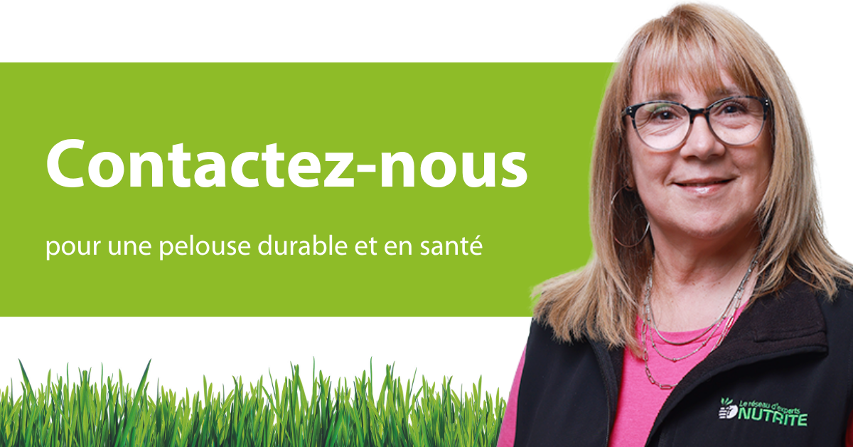 contactez-nous